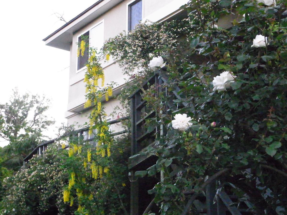 Chiisana Hotel Hanaikada 이토 외부 사진